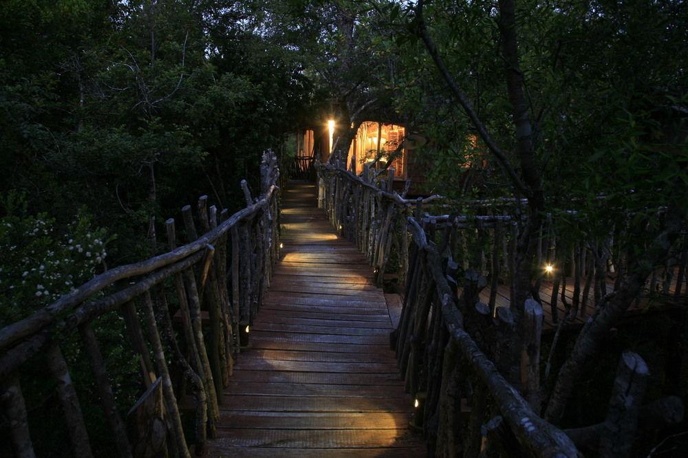Tree Lodge Nidos De Pucón Exterior foto