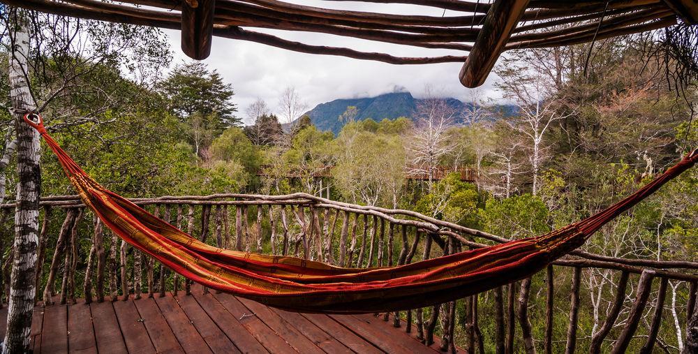 Tree Lodge Nidos De Pucón Exterior foto