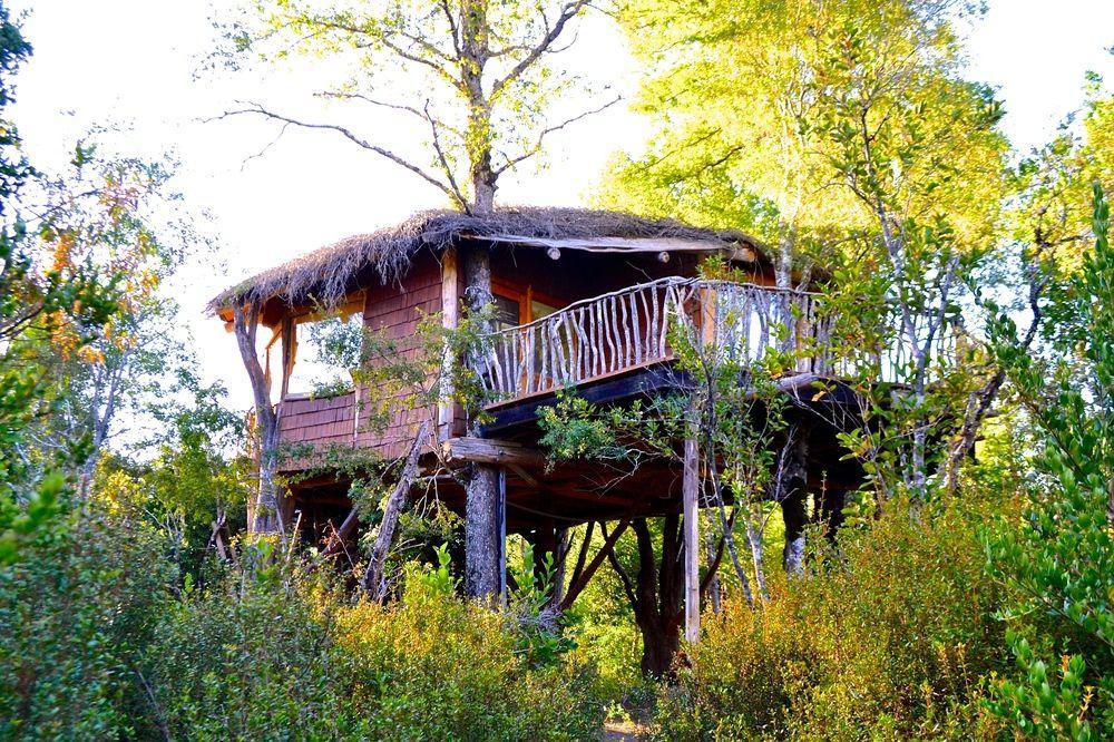 Tree Lodge Nidos De Pucón Exterior foto