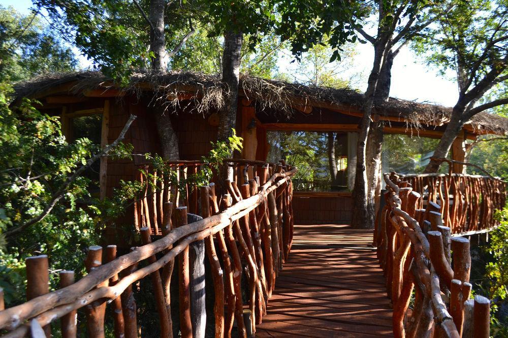 Tree Lodge Nidos De Pucón Exterior foto